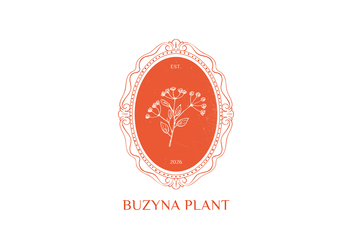 Buzyna plant